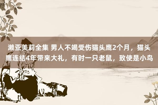 濑亚美莉全集 男人不竭受伤猫头鹰2个月，猫头鹰连结4年带来大礼，有时一只老鼠，致使是小鸟