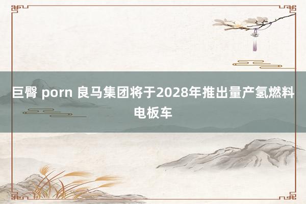 巨臀 porn 良马集团将于2028年推出量产氢燃料电板车