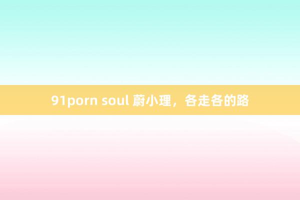 91porn soul 蔚小理，各走各的路