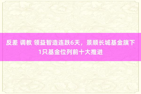 反差 调教 领益智造连跌6天，景顺长城基金旗下1只基金位列前十大推进