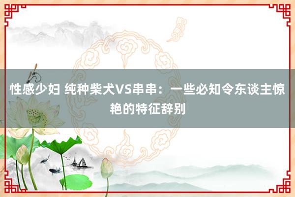 性感少妇 纯种柴犬VS串串：一些必知令东谈主惊艳的特征辞别