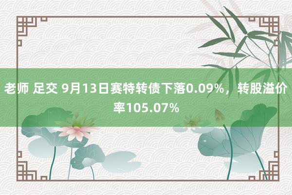 老师 足交 9月13日赛特转债下落0.09%，转股溢价率105.07%