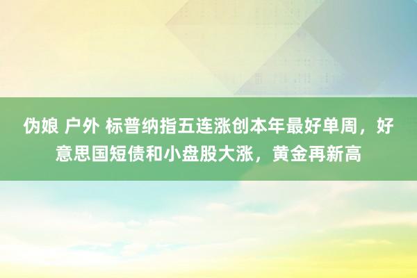 伪娘 户外 标普纳指五连涨创本年最好单周，好意思国短债和小盘股大涨，黄金再新高