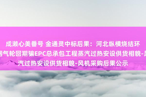 成濑心美番号 金通灵中标后果：河北纵横烧结环冷机余热回收及烟气轮回期骗EPC总承包工程蒸汽过热安设供货相貌-风机采购后果公示