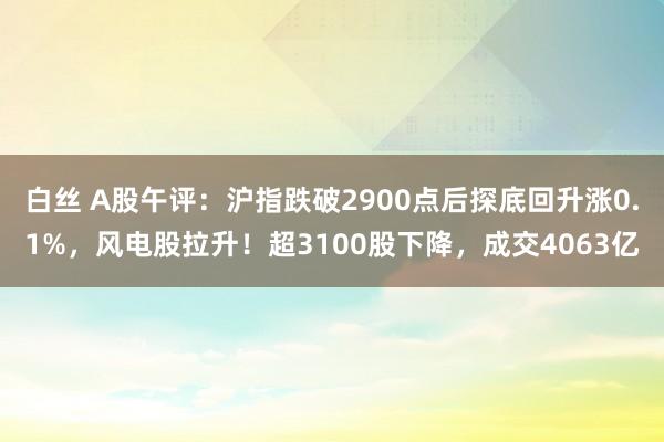 白丝 A股午评：沪指跌破2900点后探底回升涨0.1%，风电股拉升！超3100股下降，成交4063亿