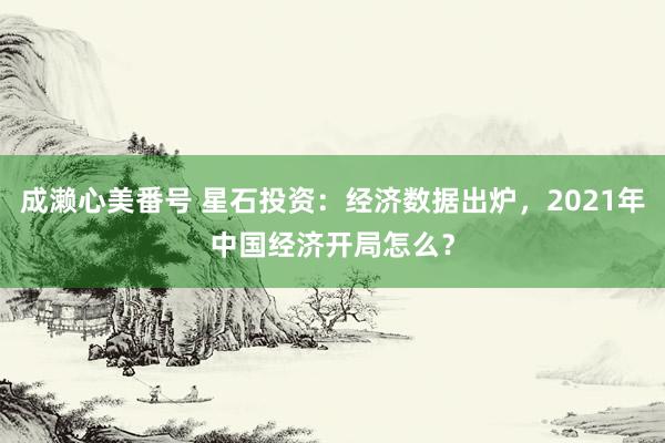 成濑心美番号 星石投资：经济数据出炉，2021年中国经济开局怎么？