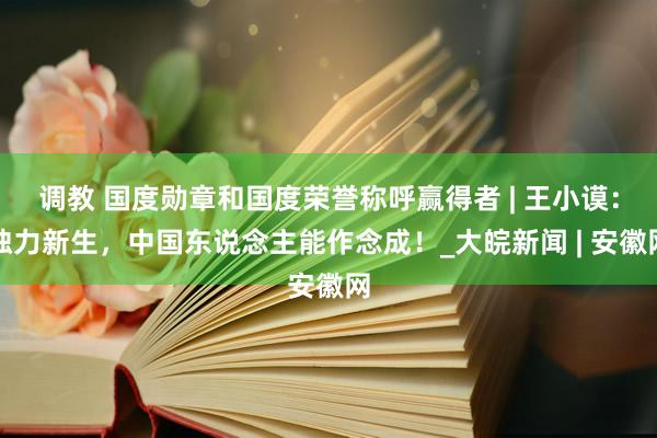 调教 国度勋章和国度荣誉称呼赢得者 | 王小谟：独力新生，中国东说念主能作念成！_大皖新闻 | 安徽网