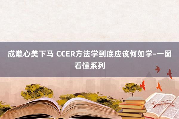 成濑心美下马 CCER方法学到底应该何如学-一图看懂系列