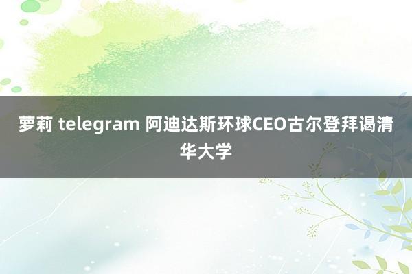 萝莉 telegram 阿迪达斯环球CEO古尔登拜谒清华大学