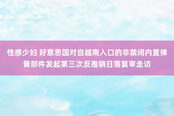 性感少妇 好意思国对自越南入口的非禁闭内置弹簧部件发起第三次反推销日落复审走访