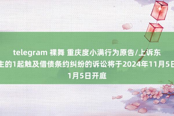 telegram 裸舞 重庆度小满行为原告/上诉东说念主的1起触及借债条约纠纷的诉讼将于2024年11月5日开庭