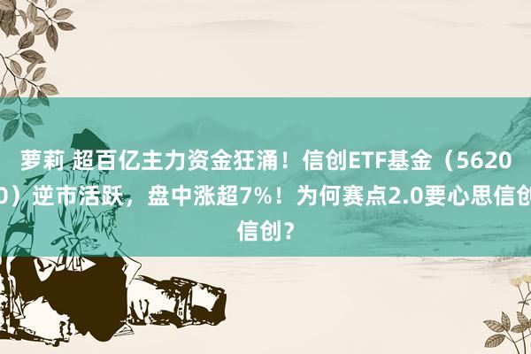 萝莉 超百亿主力资金狂涌！信创ETF基金（562030）逆市活跃，盘中涨超7%！为何赛点2.0要心思信创？