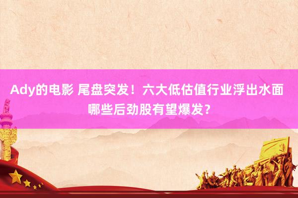 Ady的电影 尾盘突发！六大低估值行业浮出水面 哪些后劲股有望爆发？