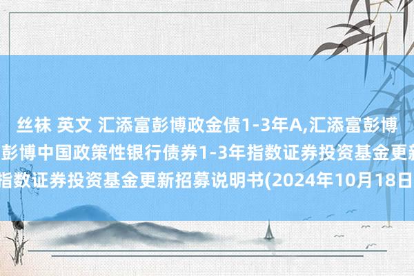 丝袜 英文 汇添富彭博政金债1-3年A，汇添富彭博政金债1-3年C: 汇添富彭博中国政策性银行债券1-3年指数证券投资基金更新招募说明书(2024年10月18日更新)