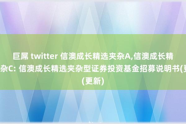 巨屌 twitter 信澳成长精选夹杂A，信澳成长精选夹杂C: 信澳成长精选夹杂型证券投资基金招募说明书(更新)