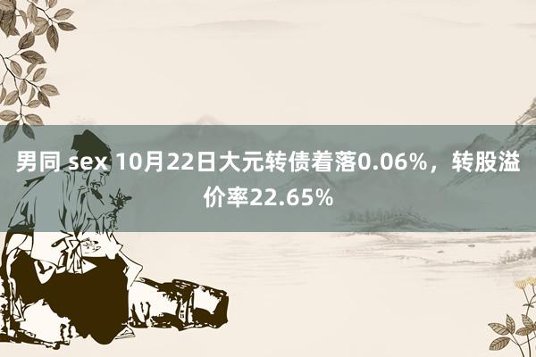 男同 sex 10月22日大元转债着落0.06%，转股溢价率22.65%