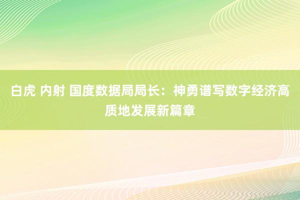 白虎 内射 国度数据局局长：神勇谱写数字经济高质地发展新篇章