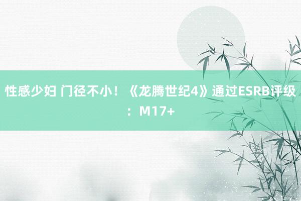 性感少妇 门径不小！《龙腾世纪4》通过ESRB评级：M17+