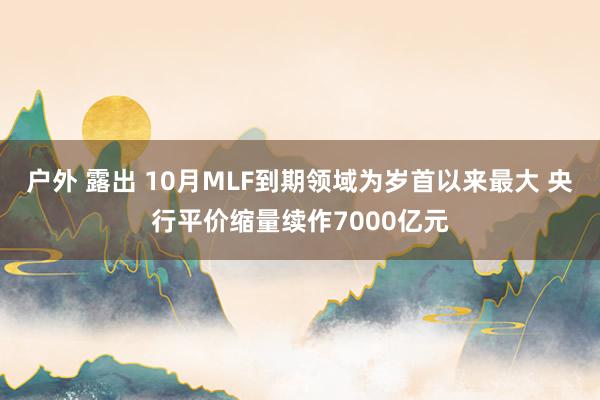 户外 露出 10月MLF到期领域为岁首以来最大 央行平价缩量续作7000亿元