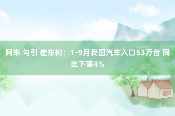 阿朱 勾引 崔东树：1-9月我国汽车入口53万台 同比下落4%