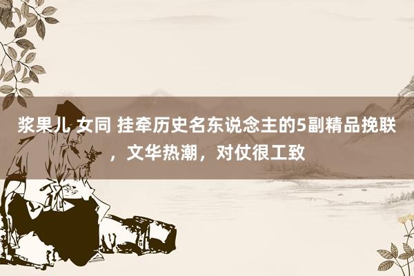 浆果儿 女同 挂牵历史名东说念主的5副精品挽联，文华热潮，对仗很工致