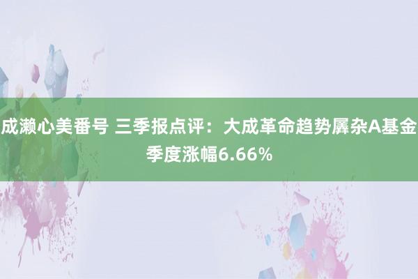 成濑心美番号 三季报点评：大成革命趋势羼杂A基金季度涨幅6.66%