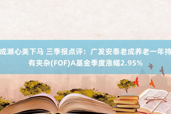 成濑心美下马 三季报点评：广发安泰老成养老一年持有夹杂(FOF)A基金季度涨幅2.95%