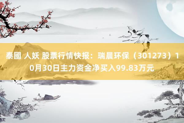 泰國 人妖 股票行情快报：瑞晨环保（301273）10月30日主力资金净买入99.83万元