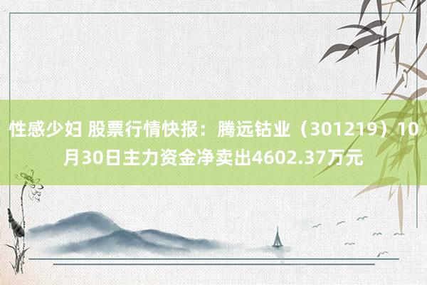 性感少妇 股票行情快报：腾远钴业（301219）10月30日主力资金净卖出4602.37万元