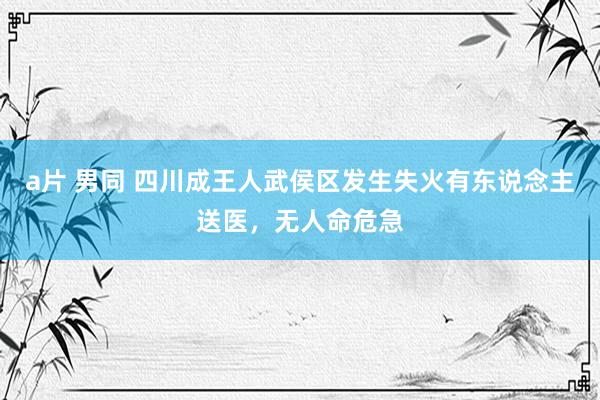 a片 男同 四川成王人武侯区发生失火有东说念主送医，无人命危急