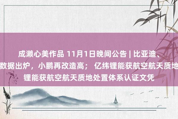 成濑心美作品 11月1日晚间公告 | 比亚迪、蔚小理等车企请托数据出炉，小鹏再改造高； 亿纬锂能获航空航天质地处置体系认证文凭