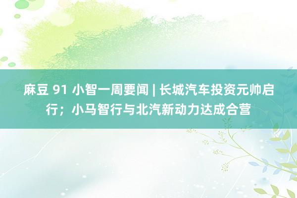 麻豆 91 小智一周要闻 | 长城汽车投资元帅启行；小马智行与北汽新动力达成合营