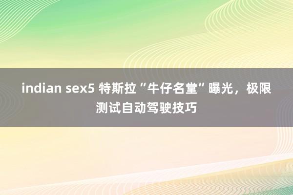 indian sex5 特斯拉“牛仔名堂”曝光，极限测试自动驾驶技巧