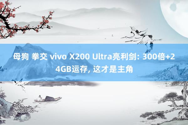 母狗 拳交 vivo X200 Ultra亮利剑: 300倍+24GB运存， 这才是主角