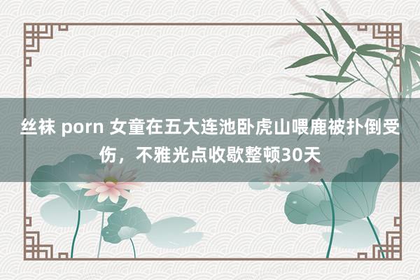 丝袜 porn 女童在五大连池卧虎山喂鹿被扑倒受伤，不雅光点收歇整顿30天