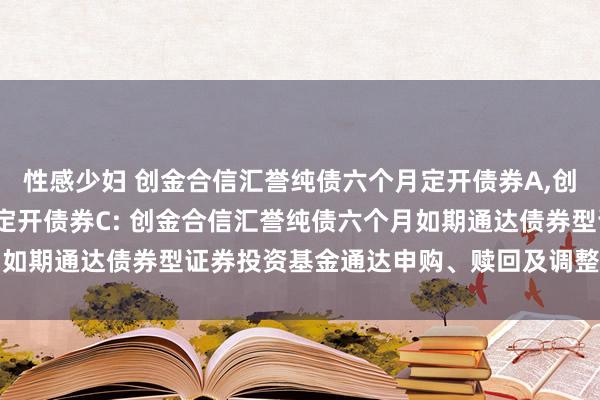 性感少妇 创金合信汇誉纯债六个月定开债券A，创金合信汇誉纯债六个月定开债券C: 创金合信汇誉纯债六个月如期通达债券型证券投资基金通达申购、赎回及调整业务的公告