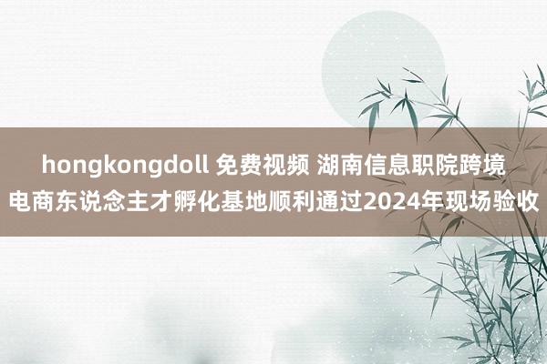 hongkongdoll 免费视频 湖南信息职院跨境电商东说念主才孵化基地顺利通过2024年现场验收