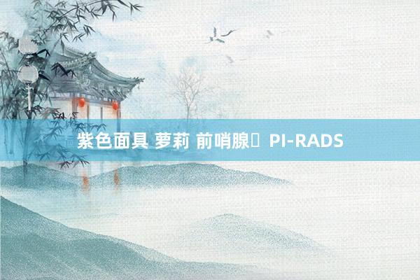 紫色面具 萝莉 前哨腺​PI-RADS