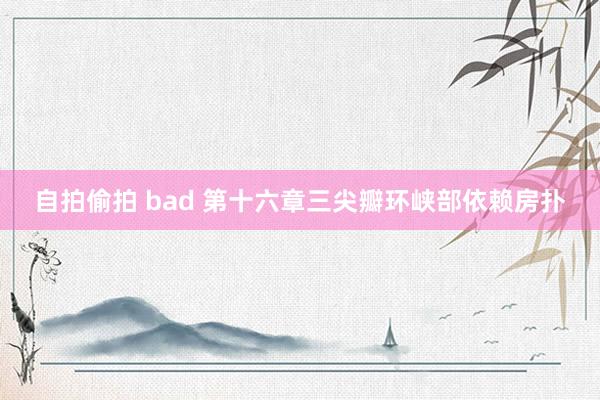 自拍偷拍 bad 第十六章三尖瓣环峡部依赖房扑