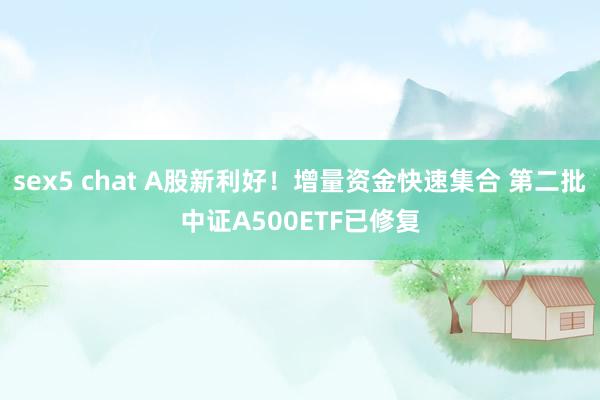 sex5 chat A股新利好！增量资金快速集合 第二批中证A500ETF已修复