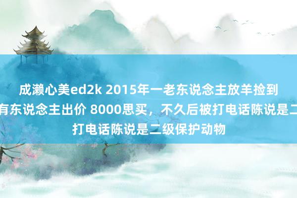 成濑心美ed2k 2015年一老东说念主放羊捡到受伤大鹅，有东说念主出价 8000思买，不久后被打电话陈说是二级保护动物