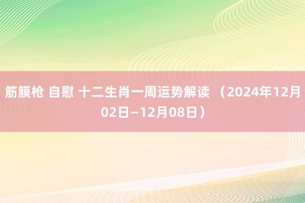 筋膜枪 自慰 十二生肖一周运势解读 （2024年12月02日—12月08日）