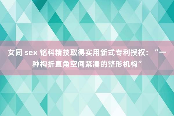 女同 sex 铭科精技取得实用新式专利授权：“一种构折直角空间紧凑的整形机构”