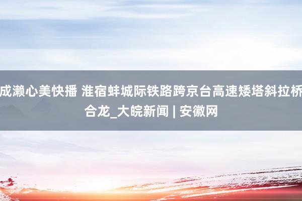 成濑心美快播 淮宿蚌城际铁路跨京台高速矮塔斜拉桥合龙_大皖新闻 | 安徽网