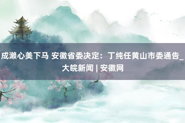 成濑心美下马 安徽省委决定：丁纯任黄山市委通告_大皖新闻 | 安徽网