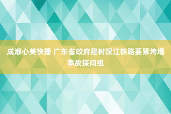 成濑心美快播 广东省政府建树深江铁路要紧垮塌事故探问组