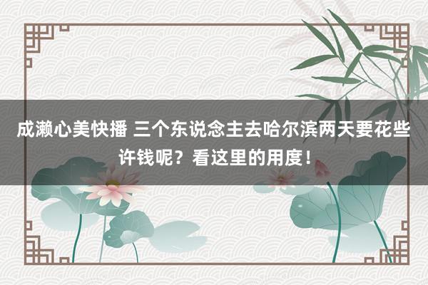 成濑心美快播 三个东说念主去哈尔滨两天要花些许钱呢？看这里的用度！