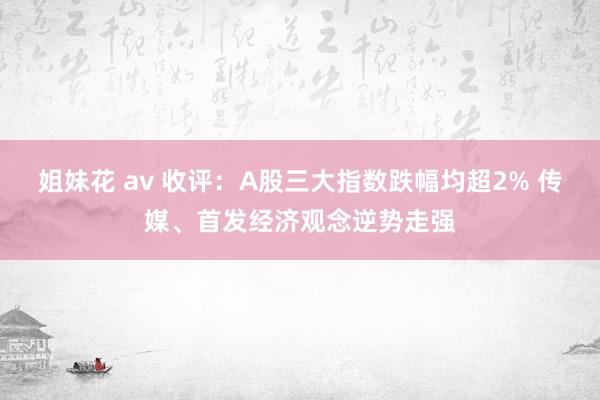 姐妹花 av 收评：A股三大指数跌幅均超2% 传媒、首发经济观念逆势走强