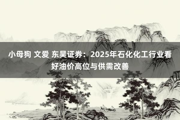 小母狗 文爱 东吴证券：2025年石化化工行业看好油价高位与供需改善