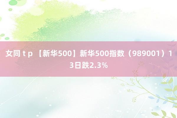 女同 t p 【新华500】新华500指数（989001）13日跌2.3%